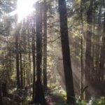 Whistler: Cheakamus Lake Guided Hike in Garibaldi Park - Who Is This Tour Best For?