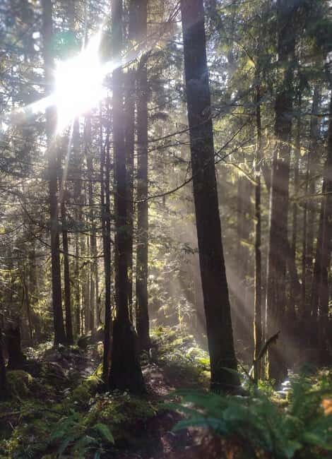 Whistler: Cheakamus Lake Guided Hike in Garibaldi Park - Who Is This Tour Best For?