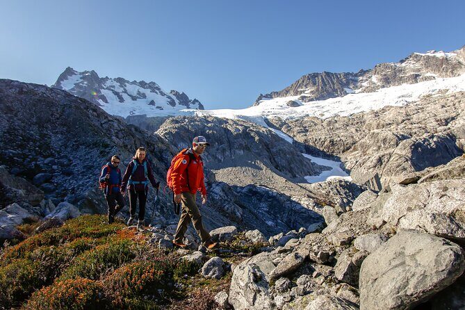 Whistler Guided Day Hiking - Why This Tour Offers Excellent Value