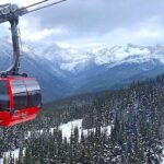 Whistler Sightseeing Tour from Vancouver: See Horseshoe Bay and Shannon Falls - Authentic Experiences and What Travelers Say