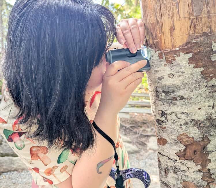 Whistler: Tour, Immersive Nature Experience - A Deep Dive into the Experience