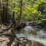 Whistler: Tour, Sensory Nature Experience for Families - Who Should Consider This Tour?