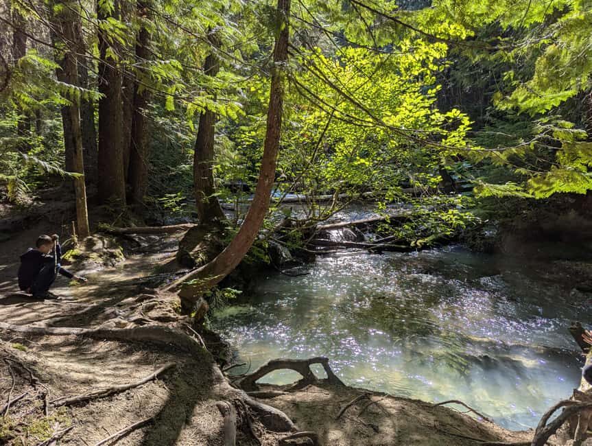 Whistler: Tour, Sensory Nature Experience for Families - Who Should Consider This Tour?