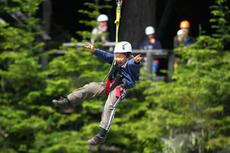 Whistler Zipline Experience: Ziptrek Bear Tour - A Closer Look at the Whistler Zipline Experience