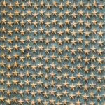 White House, National Mall Capital Highlight and Lincoln Memorial - FAQ