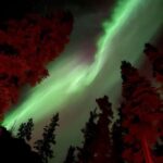 Whitehorse: Aurora Viewing with Wild Adventure Yukon - Why This Tour Offers Great Value