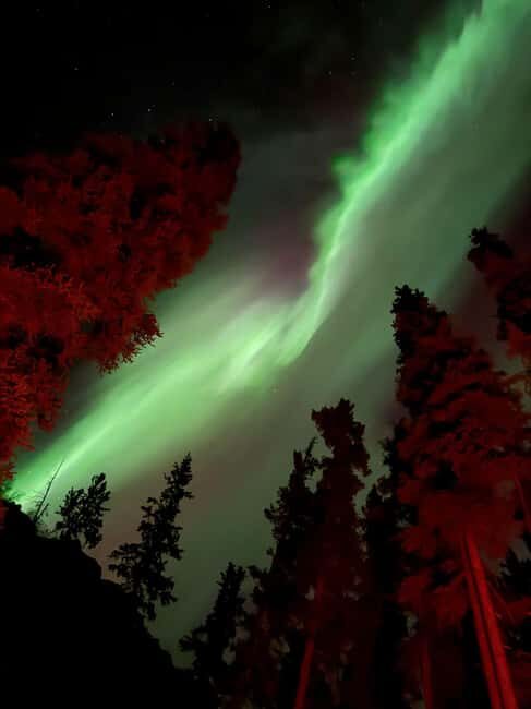 Whitehorse: Aurora Viewing with Wild Adventure Yukon - Why This Tour Offers Great Value