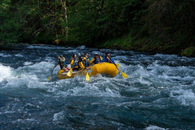 Whitewater Rafting on The McKenzie River - Who Will Love This Experience?