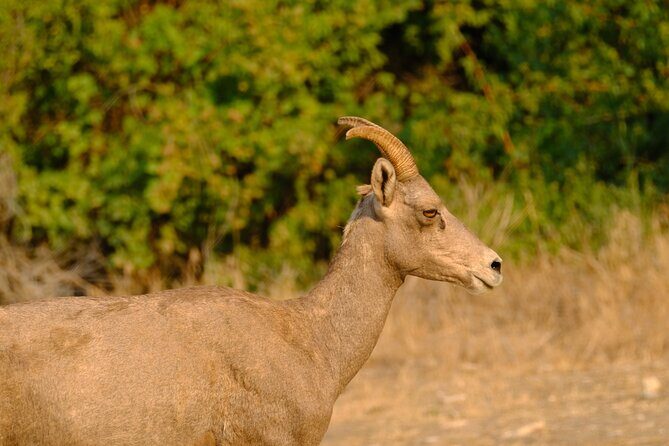 Whitewater Rafting the Salmon River - Full Day - The Logistics: How It Runs