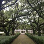 Whitney Plantation and Airboat Tour from New Orleans - Who Will Appreciate This Tour?