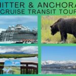 Whittier to Anchorage Land Transfer Tour With AWCC - Timing and Flexibility