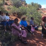 Whole-Day Sedona Vortex Experience - Exploring Sedona’s Vortex Landscape