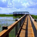 Wild Florida Adventure Package Tour with Transportation - Final Thoughts