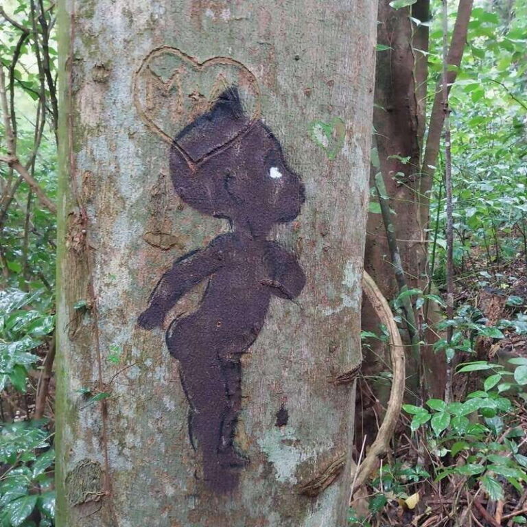 Wild Immersion : Hiking in the Heart of the Tropical Forest - Why Choose This Tour?