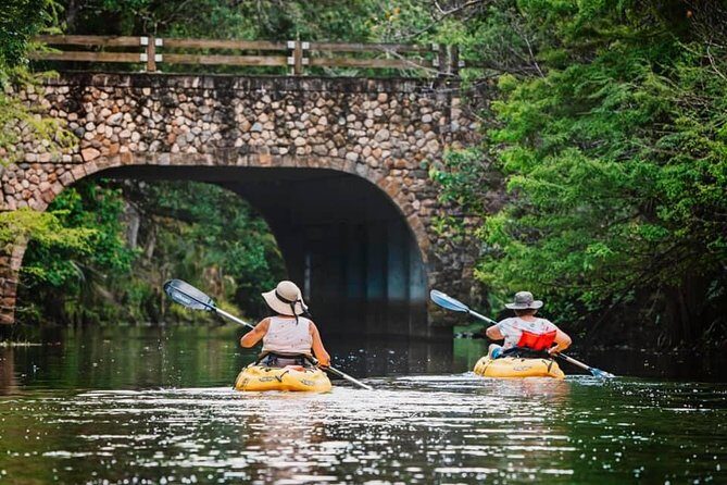 Wild & Scenic Loxahatchee River Guided Tour - The Value of the Experience