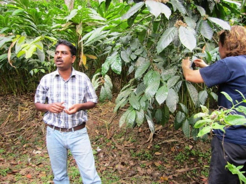 Wilderness & Culture: One Day Tour of Thekkady with Jeep !! - Detailed Breakdown of the Tour Components