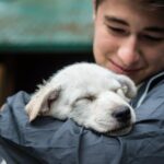 Wilderness Dog Sled Ride and Tour in Seward - Detailed Breakdown of the Experience