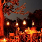 Wilderness Romance: All-Inclusive BBQ Dinner At Yala Forest - Exploring the Experience in Detail
