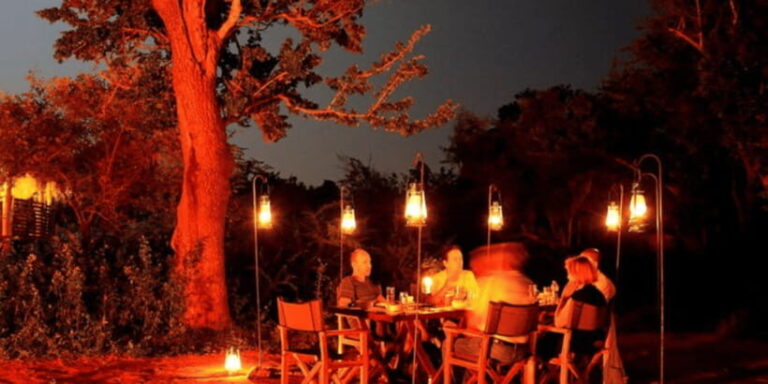 Wilderness Romance: All-Inclusive BBQ Dinner At Yala Forest - Exploring the Experience in Detail