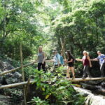 Wildlife and Jungle Adventure - 01Day in Phong Nha - A Closer Look at the Wildlife and Jungle Adventure