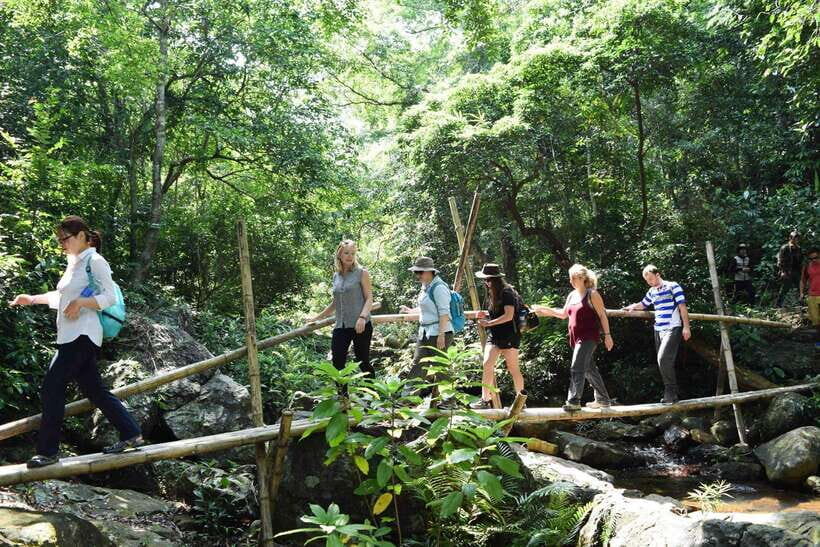 Wildlife and Jungle Adventure - 01Day in Phong Nha - A Closer Look at the Wildlife and Jungle Adventure