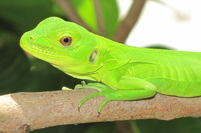 Wildlife Eco Tour on the coast of Oaxaca. - Who Would Enjoy This Tour?