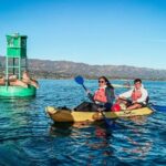 Wildlife Kayak Tour in Santa Barbara Harbor (2 Hours) - FAQ