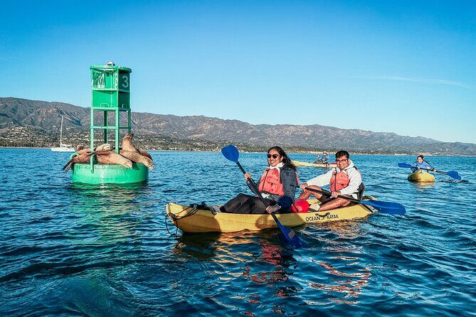 Wildlife Kayak Tour in Santa Barbara Harbor (2 Hours) - FAQ
