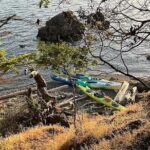 Wildlife Spotting Kayak Adventure on Orcas Island - FAQ