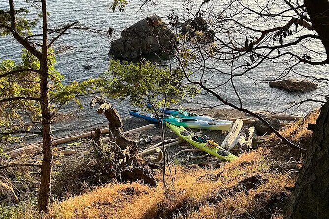 Wildlife Spotting Kayak Adventure on Orcas Island - FAQ