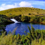 Wildlife Sri Lanka: 10-Day All-Inclusive Luxury Tour - Top Highlights of the Tour