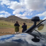 Wildlife Watching Day Tour at Hustai National Park - Why This Tour Stands Out