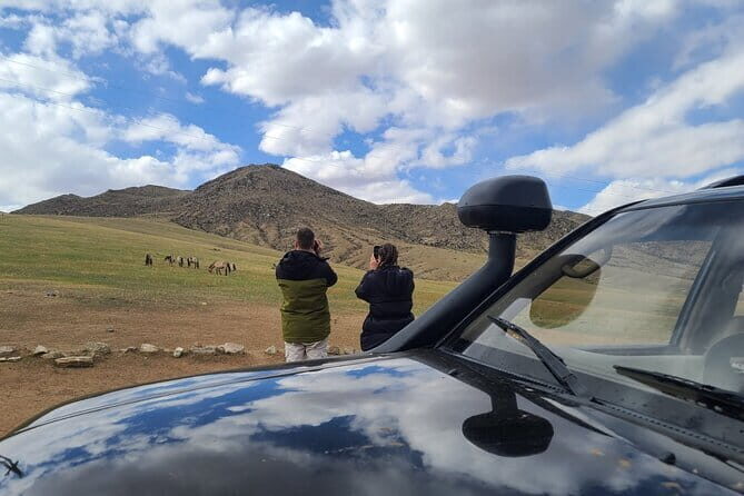 Wildlife Watching Day Tour at Hustai National Park - Why This Tour Stands Out