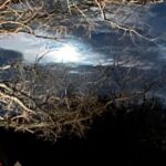 Williamsburg: Dead of Night Paranormal investigations Tour - An Honest Look at the Williamsburg Dead of Night Paranormal Investigations Tour