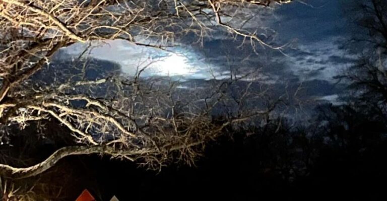 Williamsburg: Dead of Night Paranormal investigations Tour - An Honest Look at the Williamsburg Dead of Night Paranormal Investigations Tour