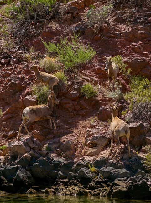 Willow Beach: Half-Day Emerald Cave Kayak Tour 3 Caves - Authentic Experiences Confirmed by Reviewers