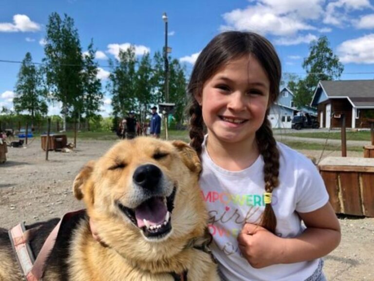 Willow: Summer Dog Sledding Ride in Alaska - Authentic Feedback from Past Participants