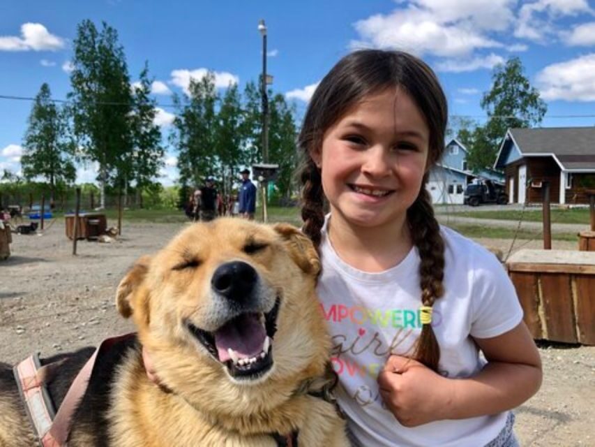 Willow: Summer Dog Sledding Ride in Alaska - Authentic Feedback from Past Participants