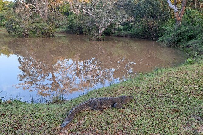Wilpattu National Park Guided Tour in a Safari Jeep Ride - Why Choose Wilpattu Over Other Parks?