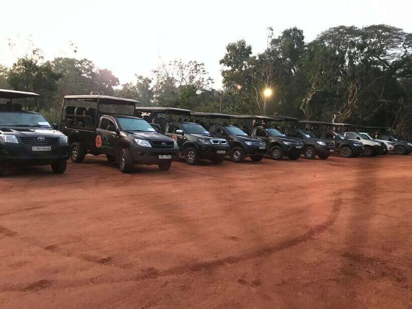 Wilpattu National Park Safari - Key Points