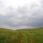 Windows Desktop Theme - Poppy Fields from Tashkent - Who Should Consider This Tour?