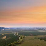 Wine, Stables and Classic Cars Willamette Valley Tour Experience - Who Should Consider This Tour?