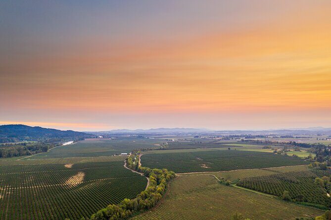 Wine, Stables and Classic Cars Willamette Valley Tour Experience - Who Should Consider This Tour?