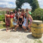 Wine Tasting from Scottsdale-(4 Vineyards & Includes Lunch) - FAQ