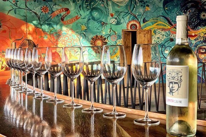 Wine tasting Valle de Guadalupe & Casa Frida - Who Will Love This Tour?