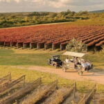 Wine tour and tasting at Vinícola Tierra de Luz - Value and Pricing