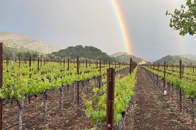 Wine Tour Pros - Sprinter Van Wine Tour: Up To 14 Guests - Why You Should Consider This Tour