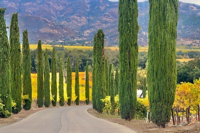 Wine Tour Transportation Services in Napa Valley - Authentic Feedback from Real Travelers