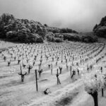 Wine tour up to 6 passengers - Why This Tour Offers Great Value