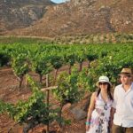 Wine tour valley of guadalupe - An In-Depth Look at the Valley of Guadalupe Wine Tour